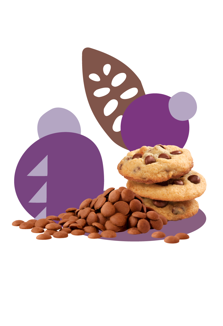 product-graphics-CHIPS